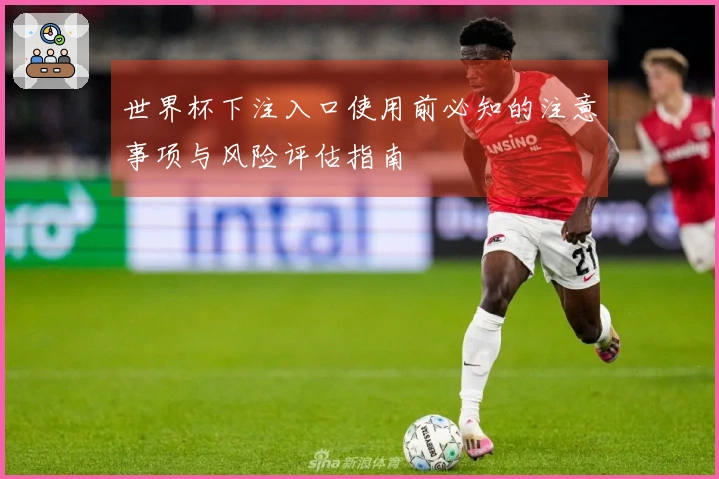 世界杯下注入口使用前必知的注意事项与风险评估指南