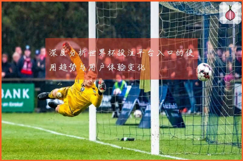 深度分析世界杯投注平台入口的使用趋势与用户体验变化