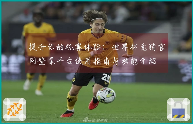 提升你的观赛体验：世界杯竞猜官网登录平台使用指南与功能介绍