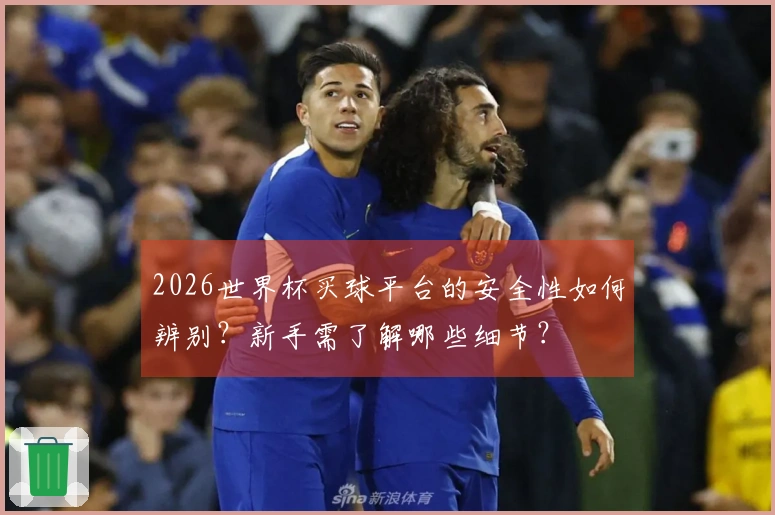 2026世界杯买球平台的安全性如何辨别？新手需了解哪些细节？