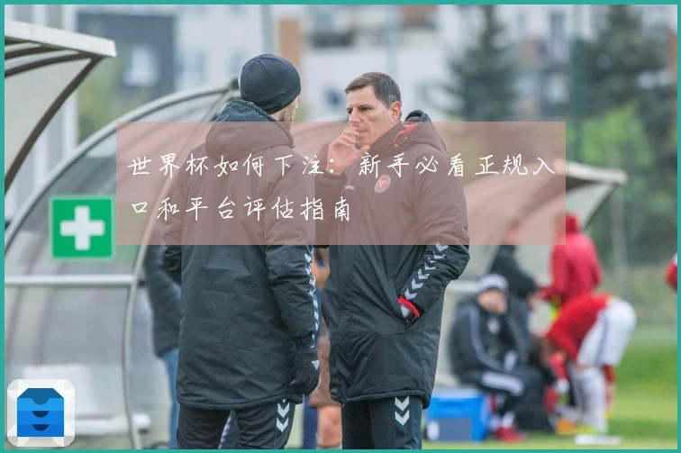 世界杯如何下注：新手必看正规入口和平台评估指南