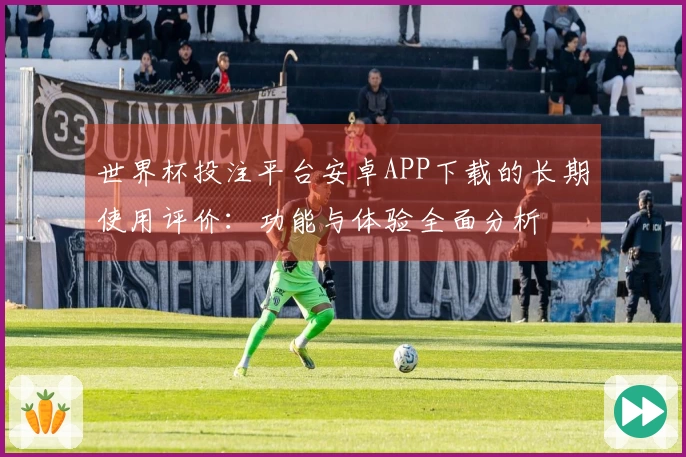 世界杯投注平台安卓APP下载的长期使用评价：功能与体验全面分析