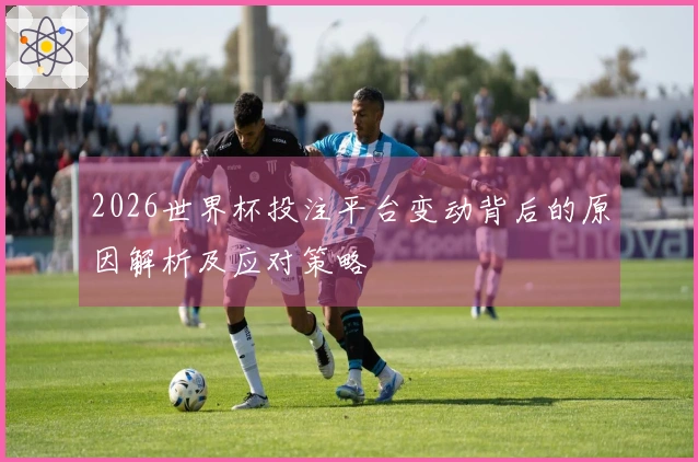 2026世界杯投注平台变动背后的原因解析及应对策略