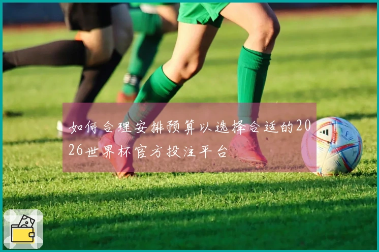 如何合理安排预算以选择合适的2026世界杯官方投注平台