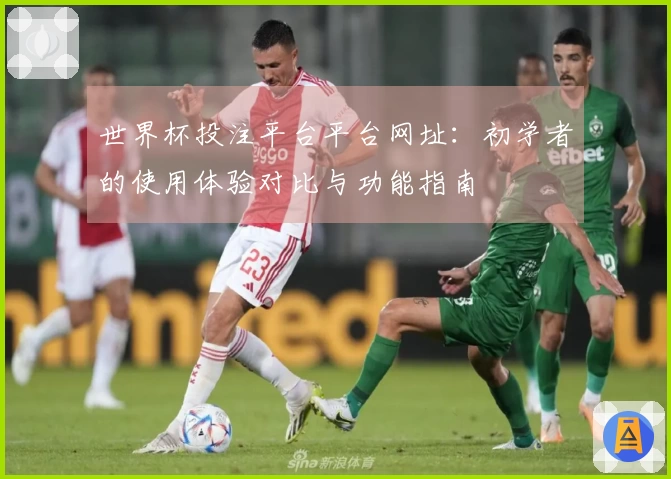 世界杯投注平台平台网址：初学者的使用体验对比与功能指南