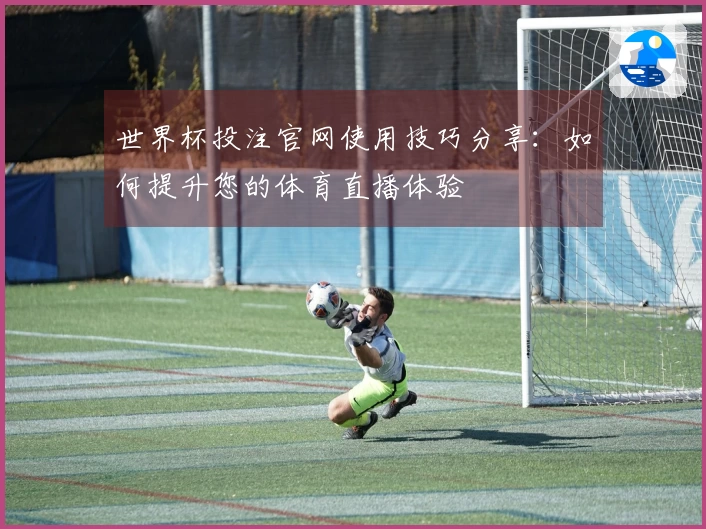 世界杯投注官网使用技巧分享：如何提升您的体育直播体验