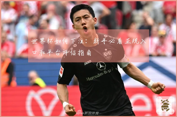 世界杯如何下注：新手必看正规入口和平台评估指南