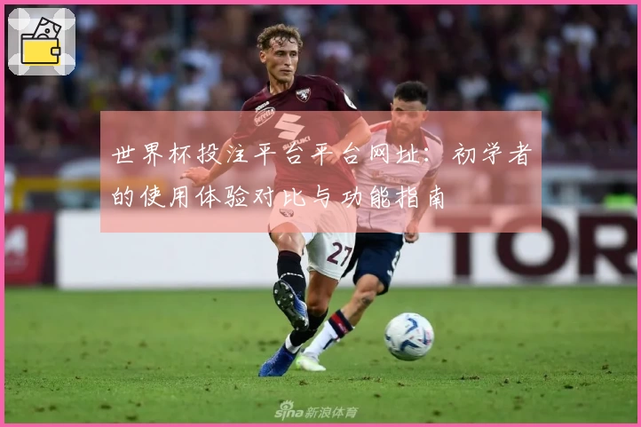 世界杯投注平台平台网址：初学者的使用体验对比与功能指南