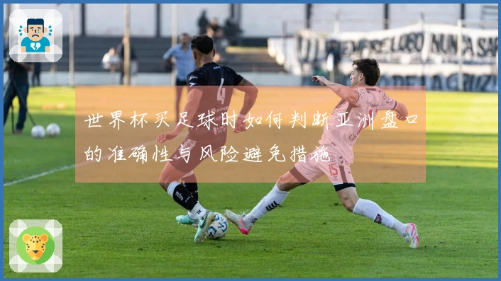 世界杯买足球时如何判断亚洲盘口的准确性与风险避免措施