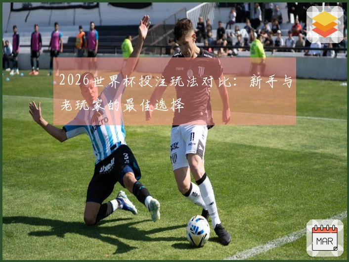 2026世界杯投注玩法对比：新手与老玩家的最佳选择